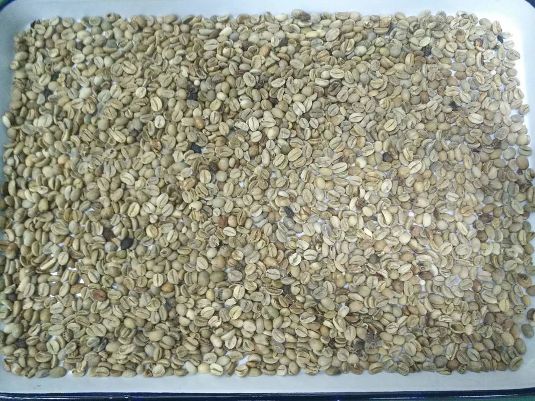 Luce variabile di Bean Color Sorter LED del caffè di 8 canali degli scivoli 512