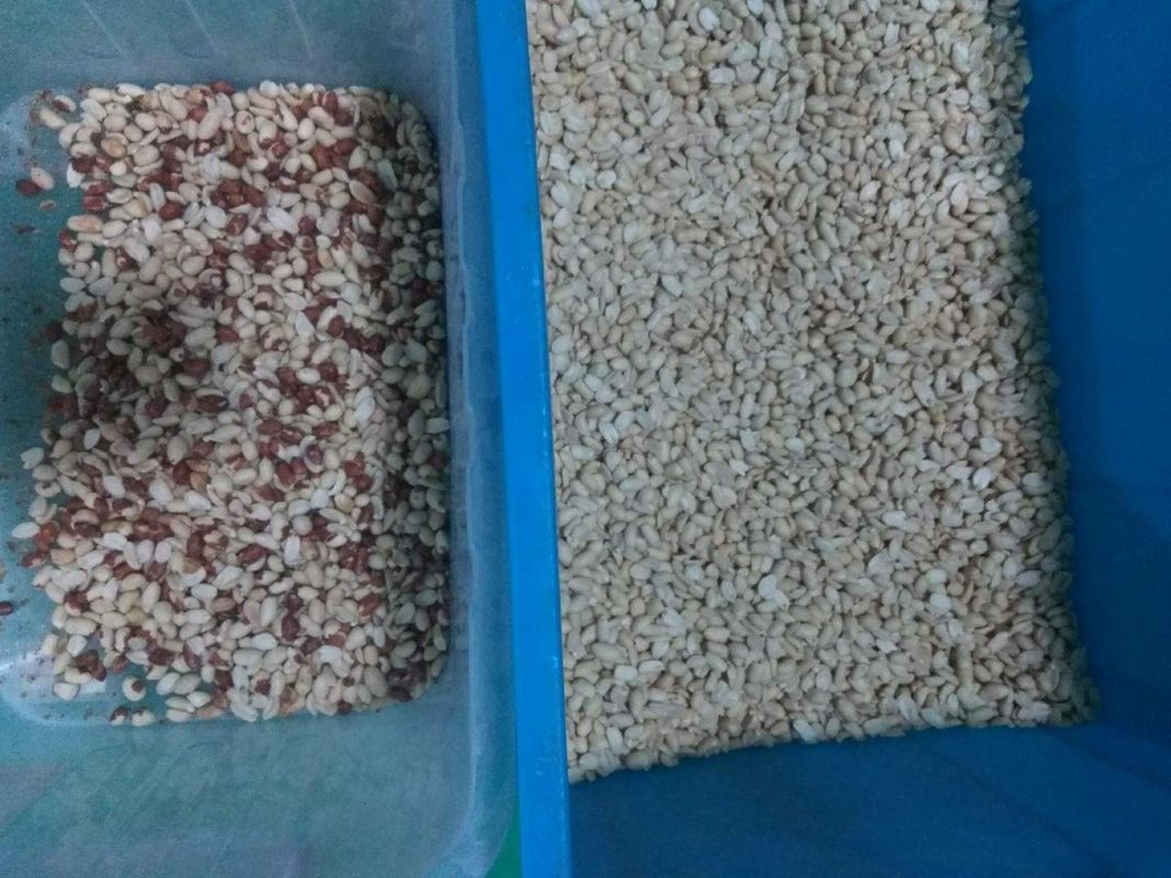 I dadi della più nuova tecnologia colorano la macchina di separazione del colore dell'arachide del selezionatore con migliore servizio