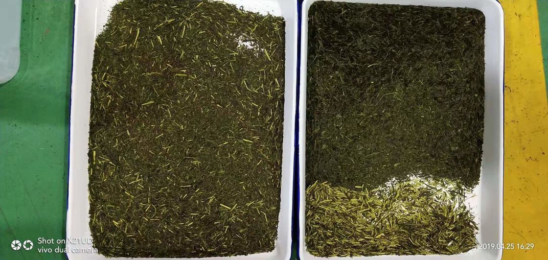5 scivoli fioriscono la macchina del selezionatore di colore del tè, macchine gialle di separazione del colore dei bastoni