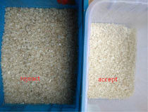 Nuovo software Himalaya Salt Color Sorting Machine per rimuovere le materie straniere gialle scure