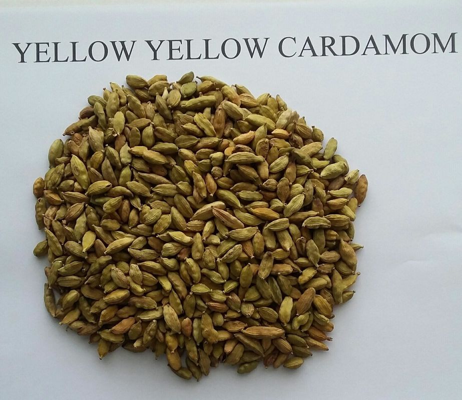 Selezionatore di colore di 512 fagioli dei canali, controllo di WIFI del vaglio del cardamomo di 8 scivoli