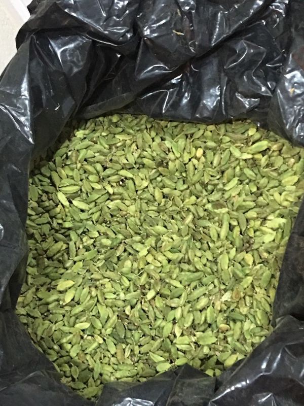 WENYAO Macchine per la selezione dei chicchi di caffè Separazione dei chicchi di caffè Selezionatrici ottiche AI