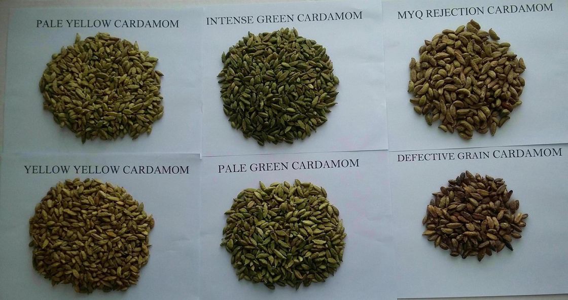 WENYAO Macchine per la selezione dei chicchi di caffè Separazione dei chicchi di caffè Selezionatrici ottiche AI