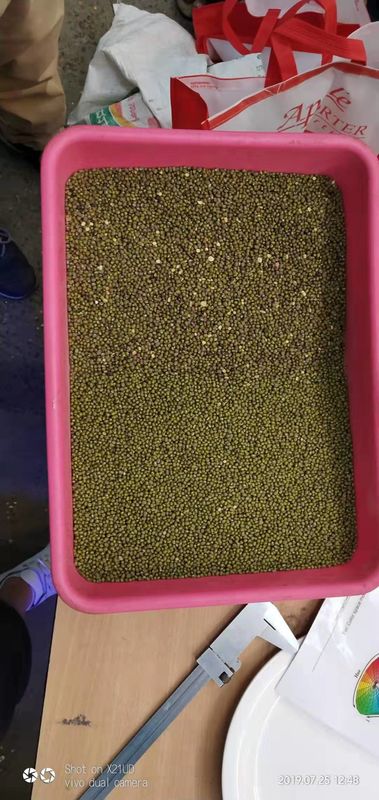 Selezionatore multifunzionale di colore di 512 scivoli dei canali 8 per i fagioli verdi verdi