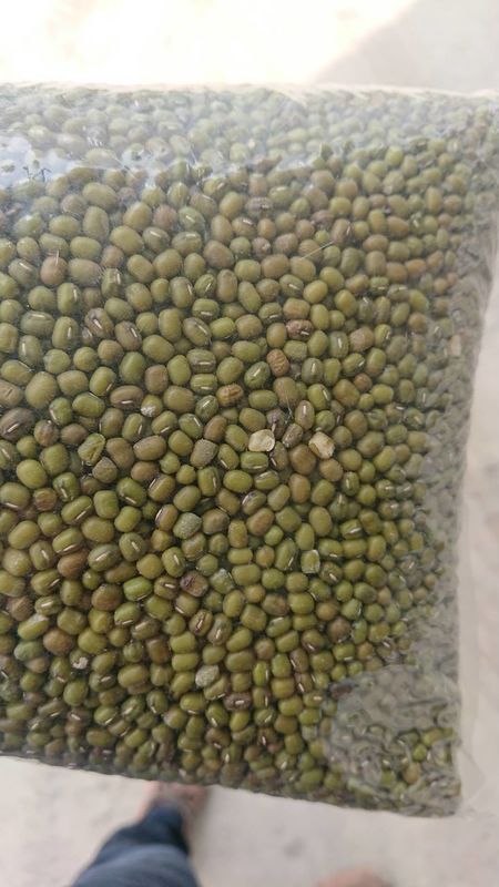 Selezionatore multifunzionale di colore di 512 scivoli dei canali 8 per i fagioli verdi verdi