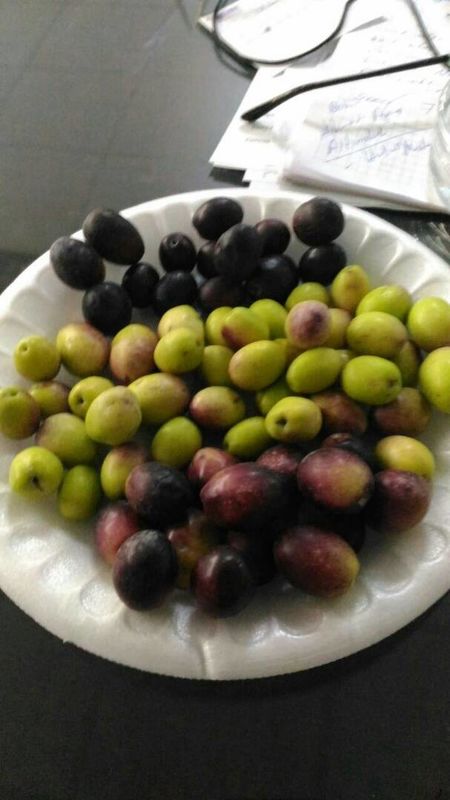 Selezionatore di colore del grano del CCD di WENYAO, Olive Optical Sorter Machine