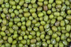 I fagioli verdi verdi colorano gli scivoli di capacità elevata 8 del selezionatore con la telecamera CCD di RGB