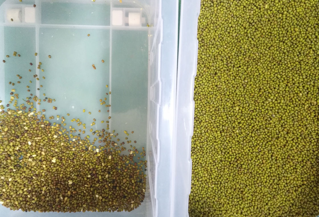 Selezionatore di colore del cereale di 6 scivoli per il miglio del grano saraceno del sorgo
