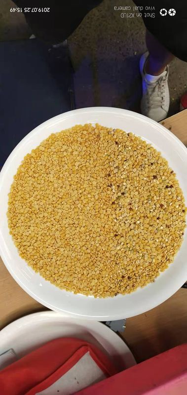 10t/h Wenyao Color Sorter, lenticchia Mung Dal Color Sorter