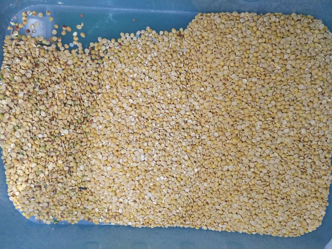 Lenticchia nera Dal Color Sorter 8 scivoli 512 canali con la luce variabile del LED