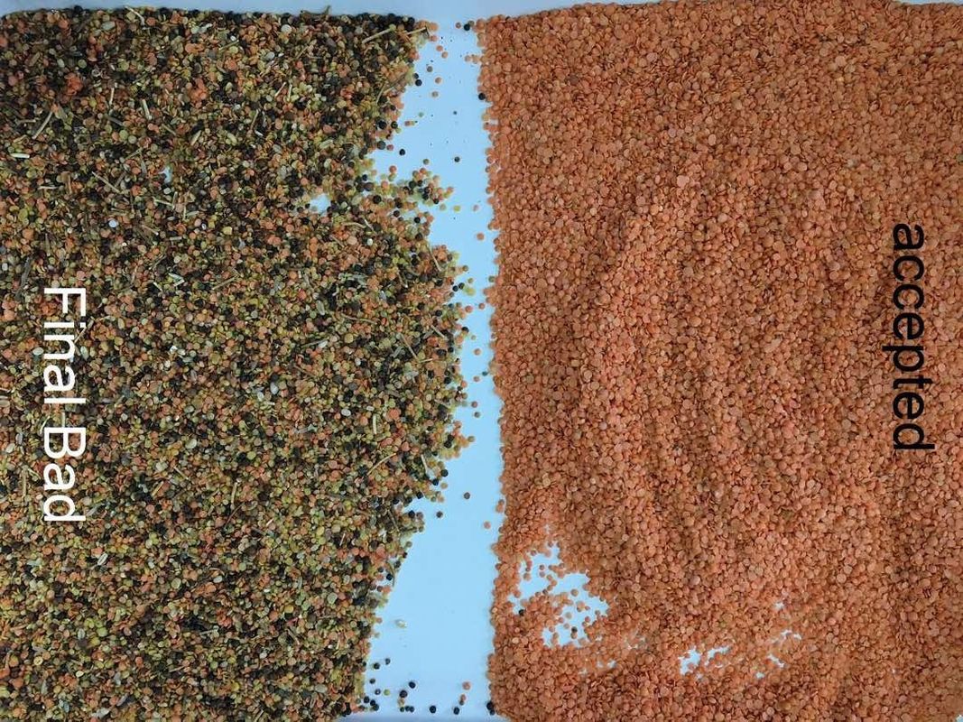 Selezionatore multifunzionale di colore di 5400 pixel per la lenticchia Mung dal del nero di Red Green