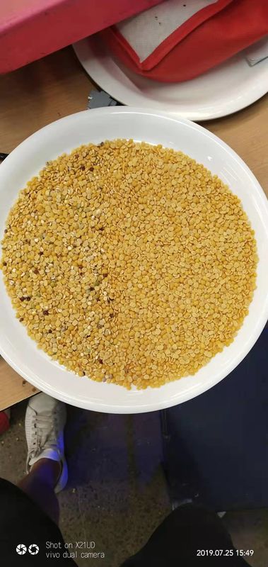 Selezionatore di colore di 7 fagioli dello scivolo, certificato del CE del selezionatore ISO9001 di colore della lenticchia