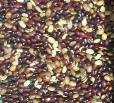 I fagioli rossi colorano il selezionatore con l'alta telecamera CCD dei pixel 2 anni di garanzia