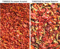 Macchina selezionatrice a colori intelligente per impieghi gravosi Wenyao con telecamera CCD RGB per la selezione di peperoncino e aglio e uscita di 1000-1500 kg/h con telecomando Wifi