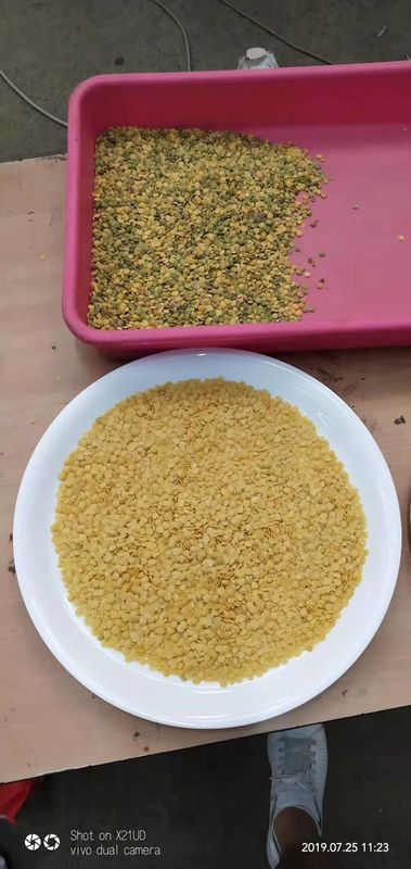 Dal Beans Color Sorter America FPGA che elabora Chip For Pulse Color Separating