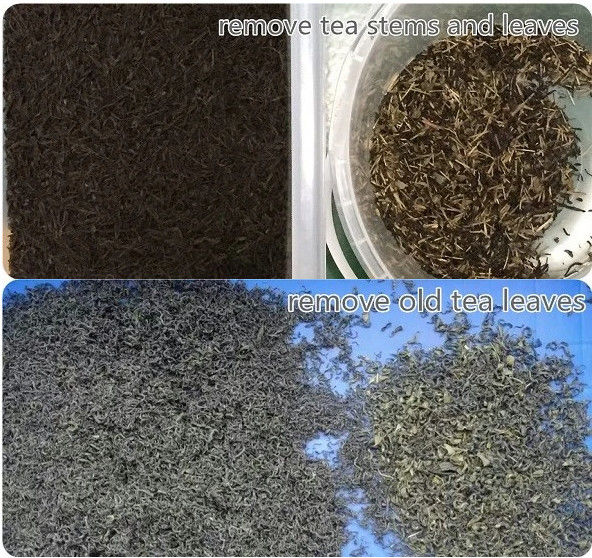 La macchina 32 del selezionatore di colore del tè della rappresentazione di UHD incanala 1 scivolo