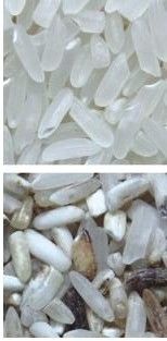 Facile da utilizzare macchina per la classificazione del colore del caffè con stainless 304 food grade hopper