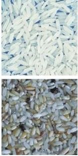 Facile da utilizzare macchina per la classificazione del colore del caffè con stainless 304 food grade hopper