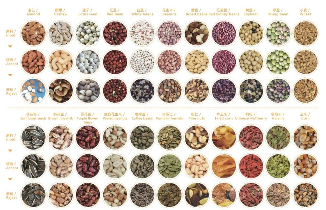 selezionatore multifunzionale di colore 1100kgs, selezionatore di colore del cereale del miglio con l'espulsore del metallo