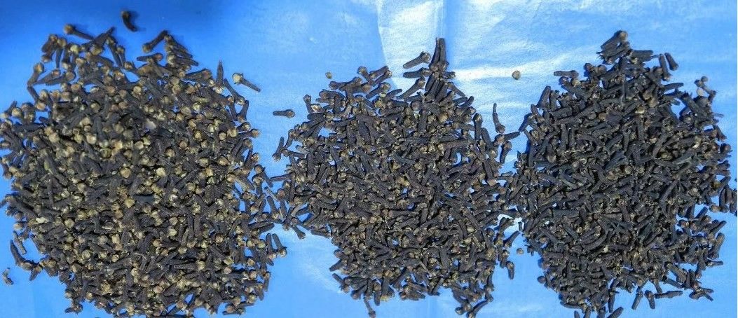 Selezionatore multifunzionale di colore del CCD di alta precisione 2 anni di garanzia