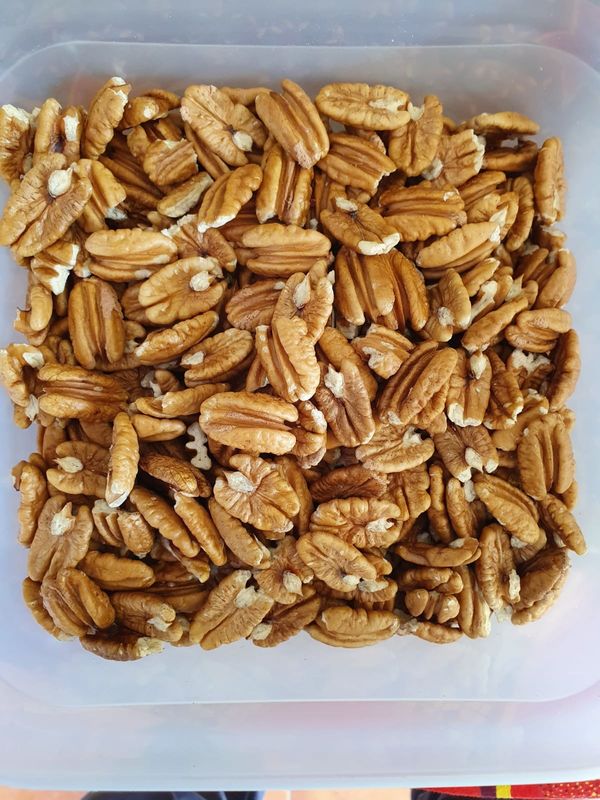 Il selezionatore matto di colore 7T/H, 7 scivoli 448 incanala il pecan che ordina l'attrezzatura