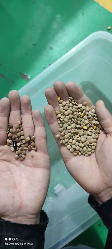 Tipo macchina dello scivolo del selezionatore del grano delle lenticchie rosse con il touch screen a 12 pollici