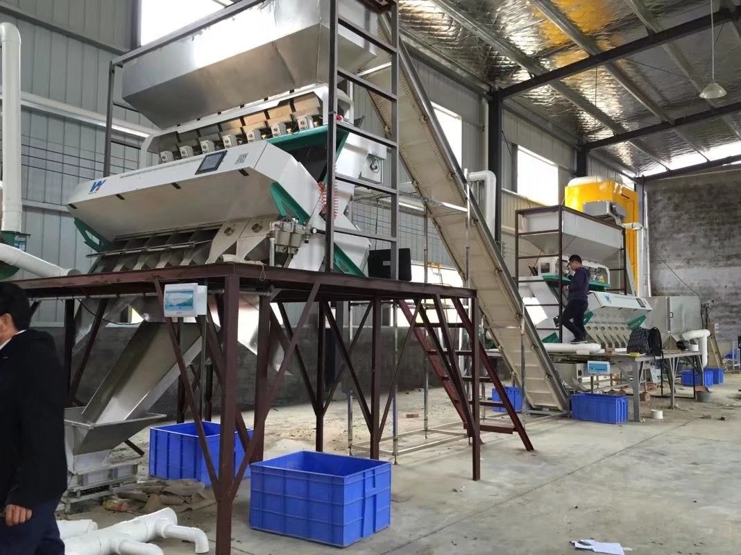 Telecomando di Wifi del selezionatore di colore del CCD di Wenyao AI per la fava di cacao del sorgo dell'avena del cereale