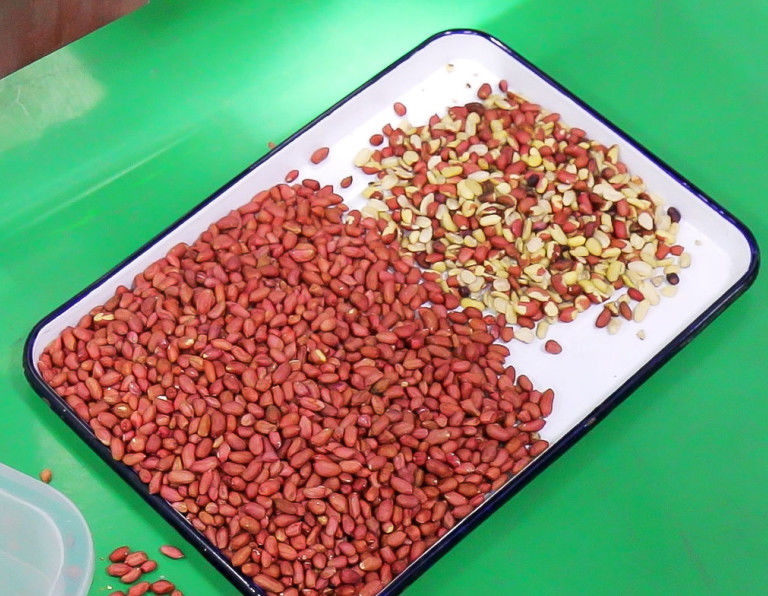 Selezionatore matto di colore dell'arachide, potere automatico di Taiwan Meanwell del selezionatore di colore del CCD