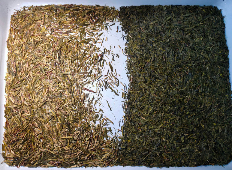 2 strati del tè di colore del selezionatore della macchina del sensore del Giappone Toshiba