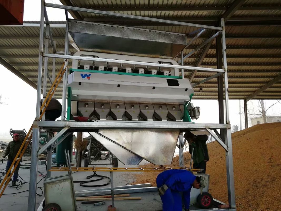 Il CE ha certificato la macchina matta del selezionatore di colore per la noce del pistacchio del pinolo