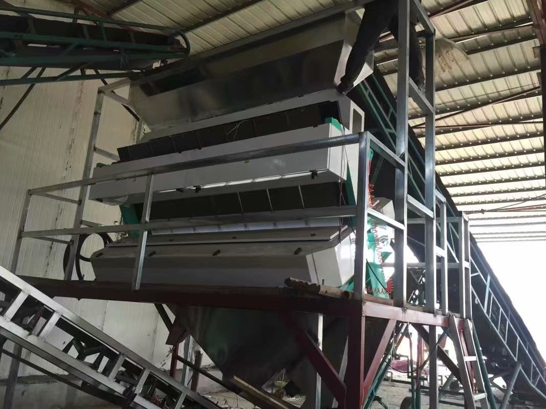 Selezionatore ottico 7000kg/h di colore del grano di RGB con due telecamere CCD