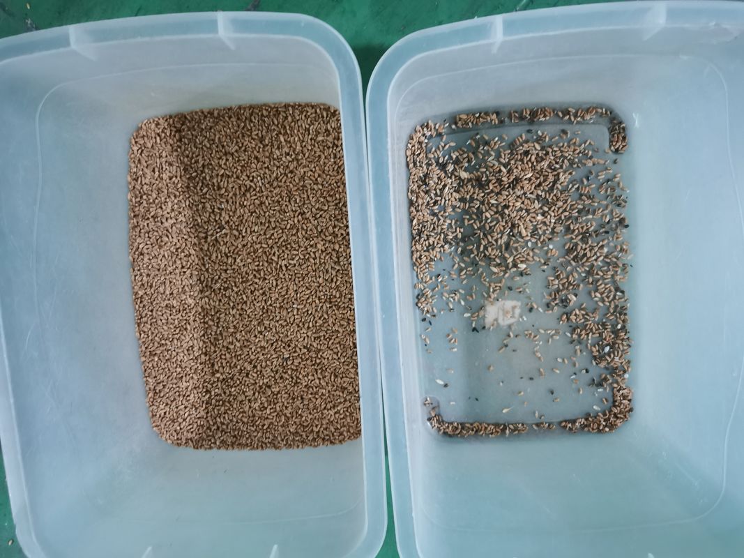 Selezionatore ottico 7000kg/h di colore del grano di RGB con due telecamere CCD