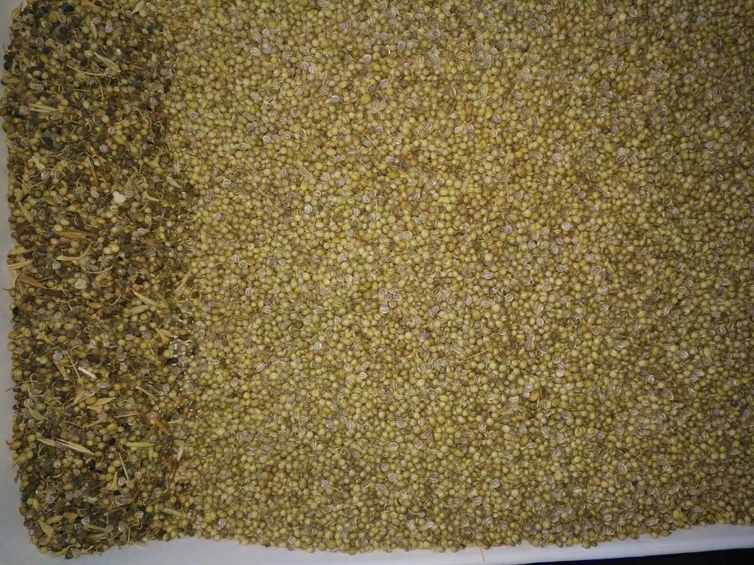 Potere di TAIWAN Meanwell del selezionatore di colore del seme di coriandolo con una garanzia da 2 anni