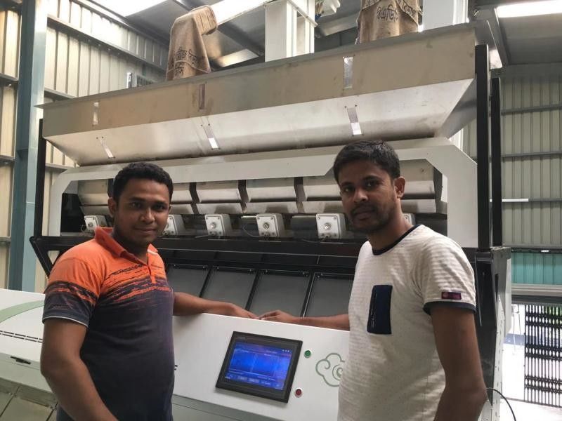 Macchina bianca del selezionatore di colore del sesamo del sensore del CCD di Toshiba per i punti neri