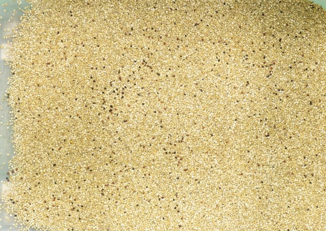 Scivoli multifunzionali intelligenti ottici del selezionatore 6 di colore del CCD del grano LED RGB
