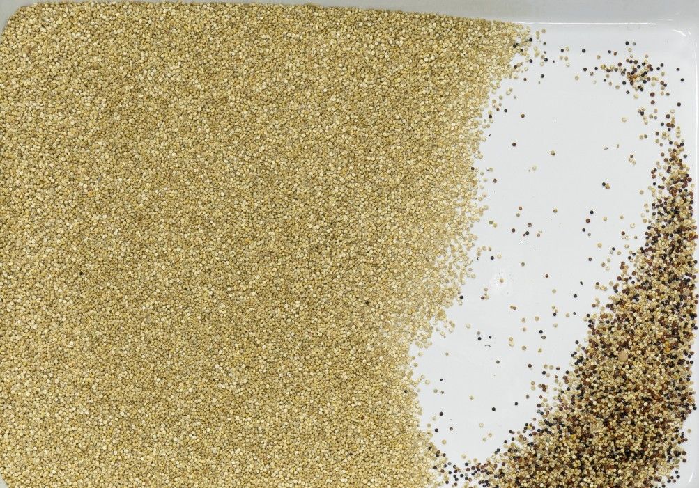 Scivoli multifunzionali intelligenti ottici del selezionatore 6 di colore del CCD del grano LED RGB