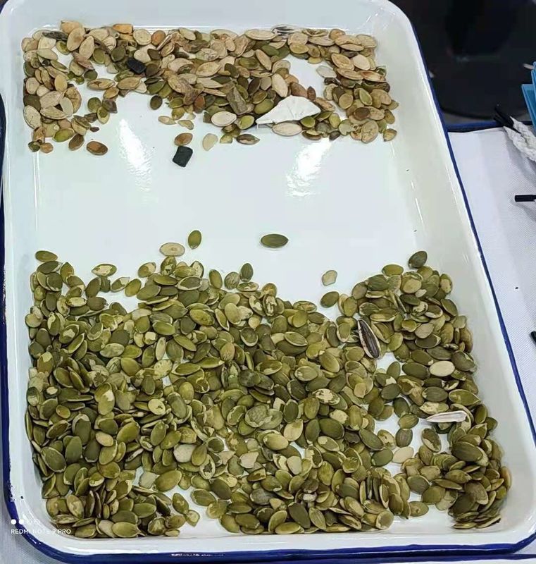 Wenyao alta capacità 1000kg CCD sementi di coriandolo macchina di selezione del colore sementi di prezzemolo coloratore