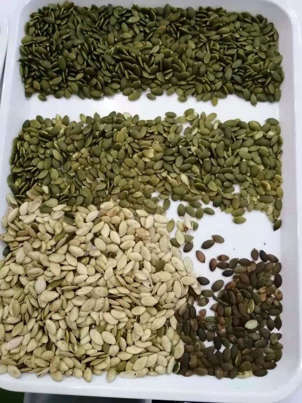 Wenyao alta capacità 1000kg CCD sementi di coriandolo macchina di selezione del colore sementi di prezzemolo coloratore