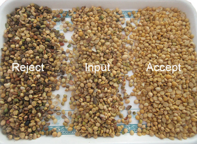 CCD automatico RGB Bean Color Sorter