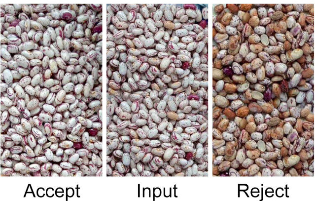 CCD automatico RGB Bean Color Sorter