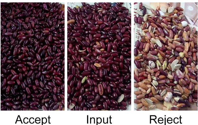 CCD automatico RGB Bean Color Sorter