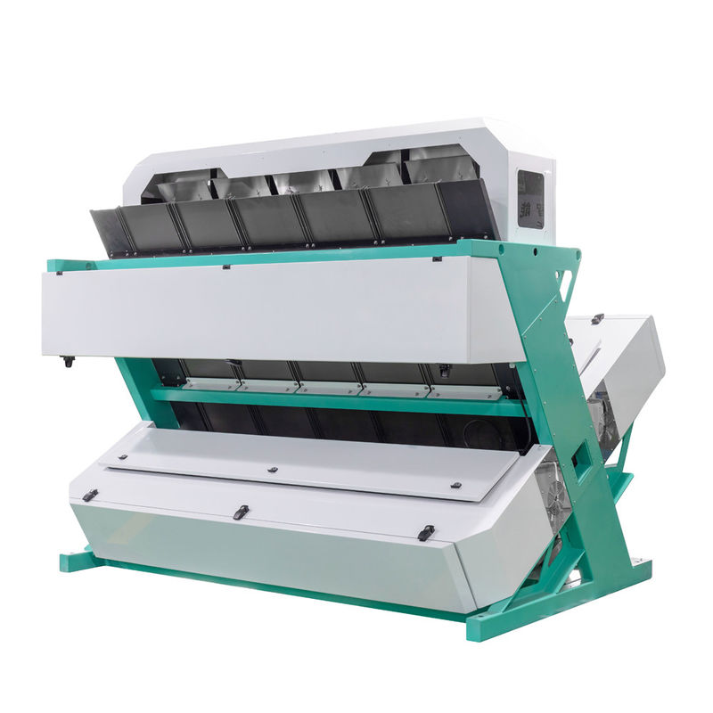 Wenyao alta capacità 1000kg CCD sementi di coriandolo macchina di selezione del colore sementi di prezzemolo coloratore