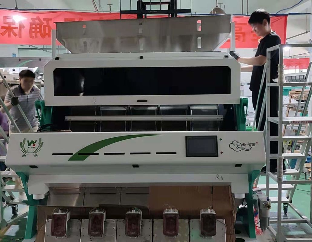Capacità di lavorazione ottica del vaglio 5000kg/H di colore della macchina fotografica di Rgb delle lenticchie della soia di Dall