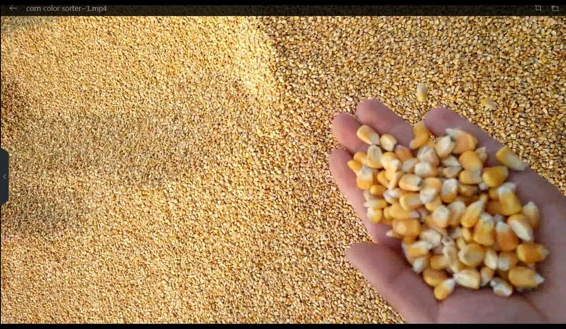 Selezionatore di colore di cereale del sensore del CCD di 6 scivoli per i fiocchi di mais