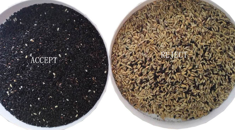 Wenyao Macchina per la classificazione del colore del riso nero per impianti di riso