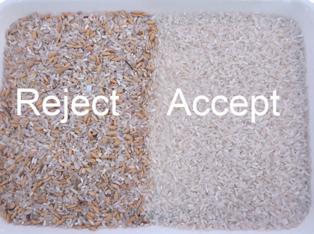 Capacità elevata della telecamera CCD del riso di colore della macchina intelligente del selezionatore