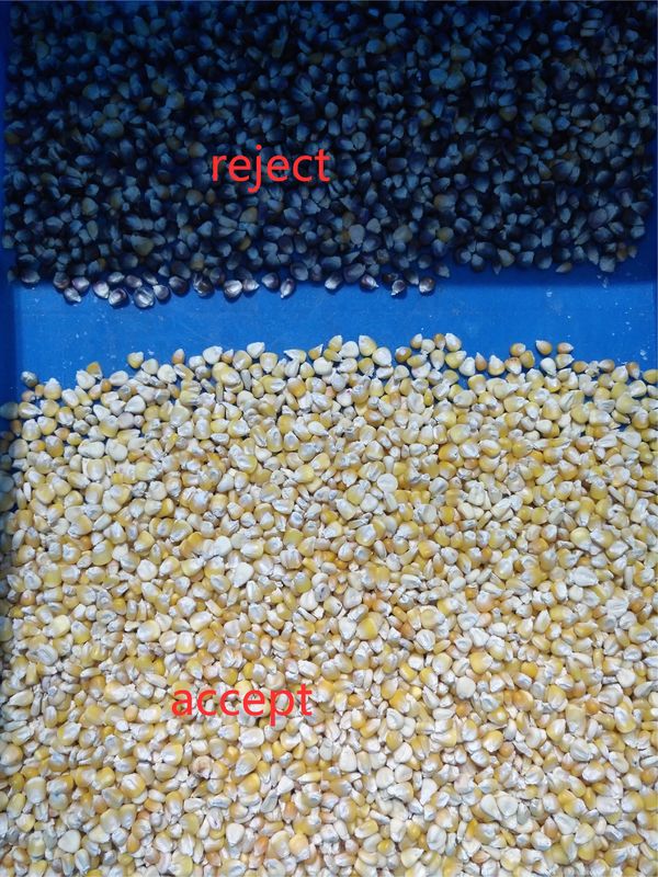 2 selezionatore di colore di cereale di Toshiba HD degli scivoli per i fagioli del grano del grano