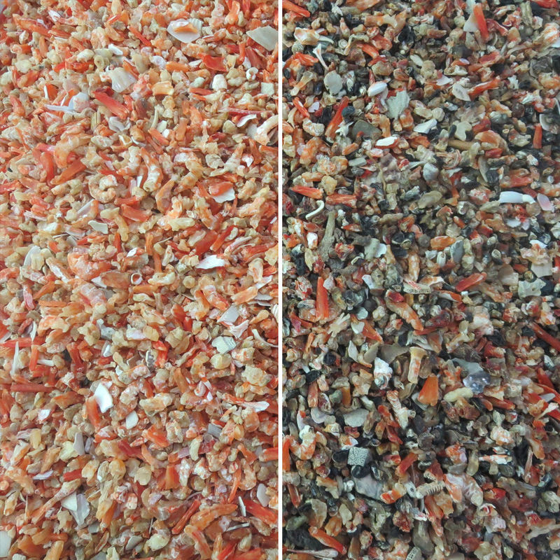 Separazione a secco del gamberetto di RGB Nir Sensor Color Sorter For di alta efficienza