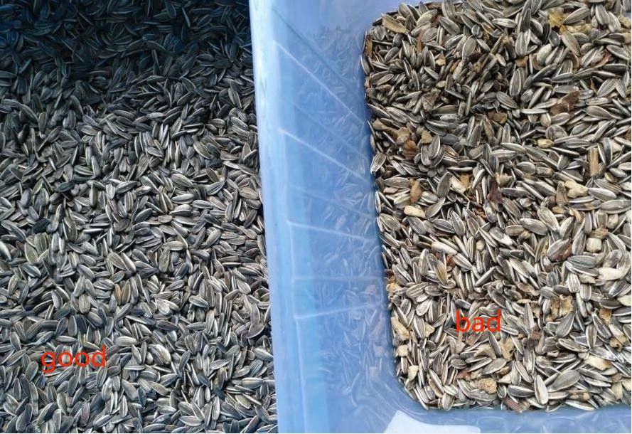 Selezionatore di colore di 2 degli scivoli 3Tons/H di capacità semi di girasole per il grano del riso