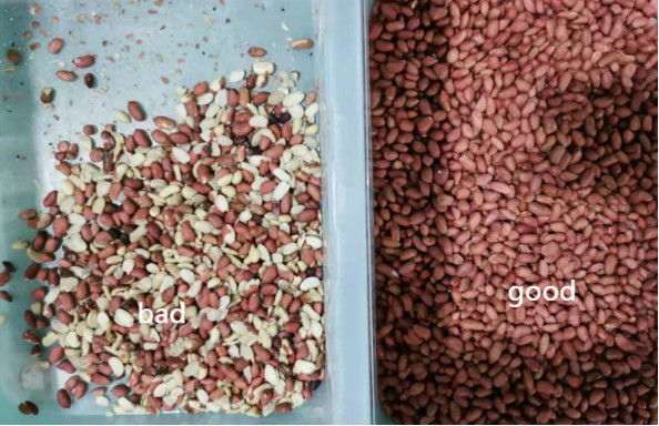 Selezionatore di colore dell'arachide del vaglio di colore dell'arachide del macchinario agricolo